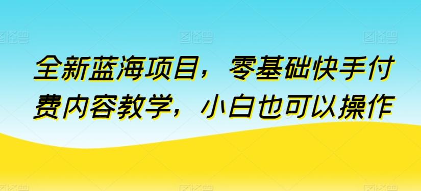 全新蓝海项目，零基础快手付费内容教学，小白也可以操作【揭秘】-彼飞网创