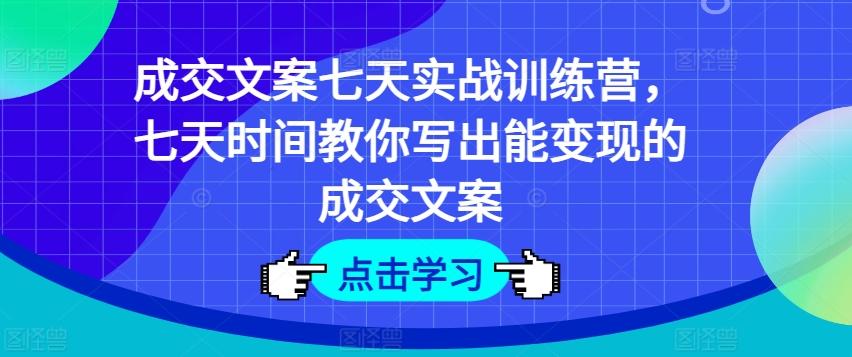 成交文案七天实战训练营，七天时间教你写出能变现的成交文案-彼飞网创
