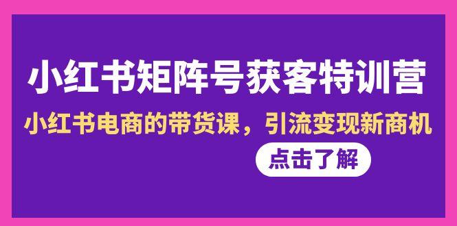 小红书-矩阵号获客特训营-第10期，小红书电商的带货课，引流变现新商机-彼飞网创