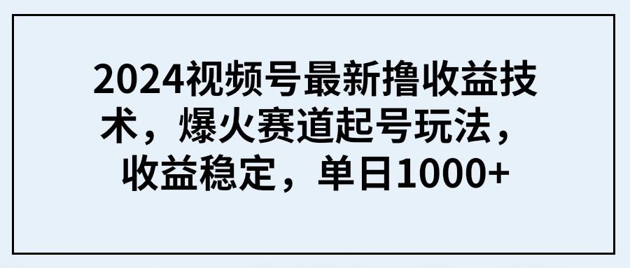(9651期) 2024视频号最新撸收益技术，爆火赛道起号玩法，收益稳定，单日1000+-彼飞网创