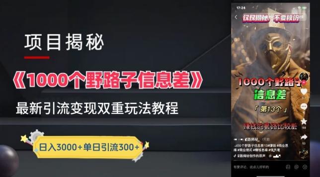 一千个野路子信息差最新玩法教程-变现+引流的玩法具体拆解【揭秘】-彼飞网创