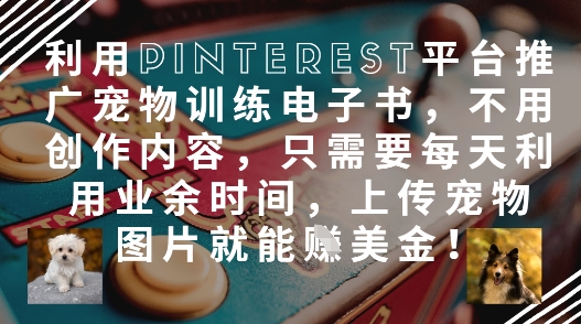 利用Pinterest平台推广宠物训练电子书，不用创作内容，只需要每天利用业余时间，上传宠物图片就能挣美金!-彼飞网创