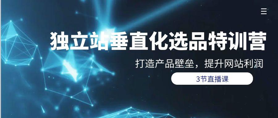 (9925期)独立站-垂直化选品训练营，打造产品壁垒，提升网站利润(3节直播课)-彼飞网创