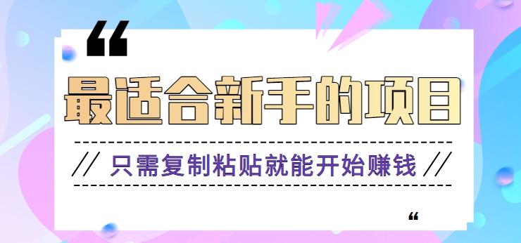 2024最适合新手操作的项目，新手小白只需复制粘贴就能开始赚钱【视频教程+软件】-彼飞网创