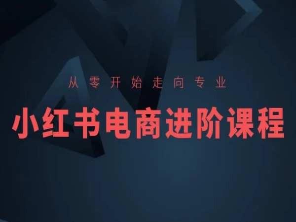 从零开始走向专业，小红书电商进阶课程-彼飞网创