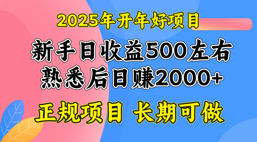 2025开年好项目，单号日收益2000左右-彼飞网创