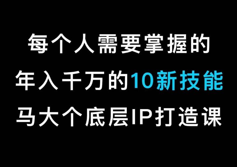 马大个的IP底层逻辑课，​每个人需要掌握的年入千万的10新技能，约会底层IP打造方法！-彼飞网创