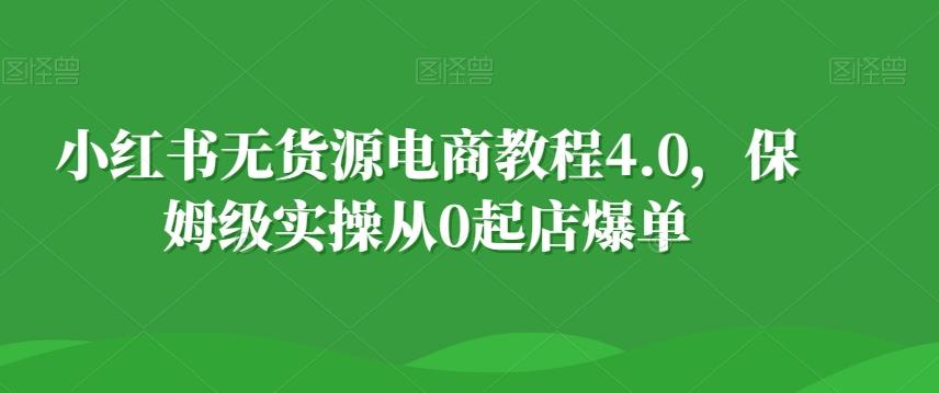 小红书无货源电商教程4.0，保姆级实操从0起店爆单【拆解】-彼飞网创