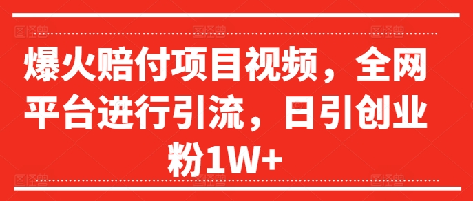 爆火赔付项目视频，全网平台进行引流，日引创业粉1W+【揭秘】-彼飞网创