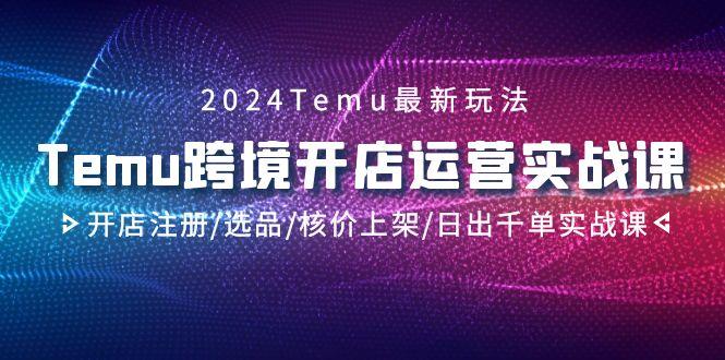 2024Temu跨境开店运营实战课，开店注册/选品/核价上架/日出千单实战课-彼飞网创