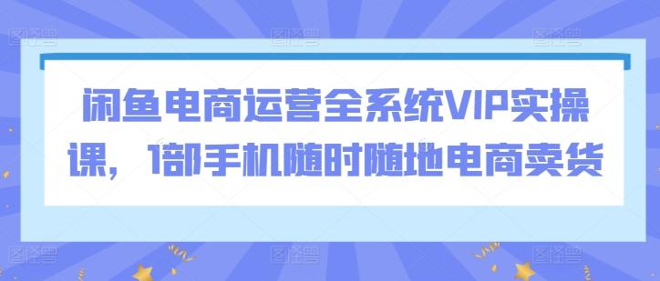 闲鱼电商运营全系统VIP实操课，1部手机随时随地电商卖货-彼飞网创