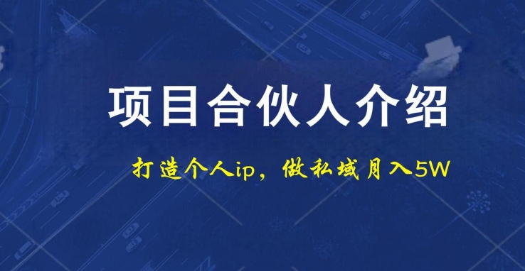 项目合伙人项目，打造个人IP，做私域月入5W，小白勿扰-彼飞网创