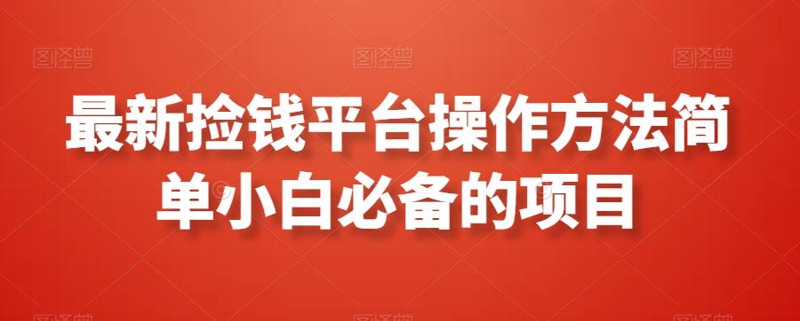 最新捡钱平台操作方法简单小白必备的项目-彼飞网创
