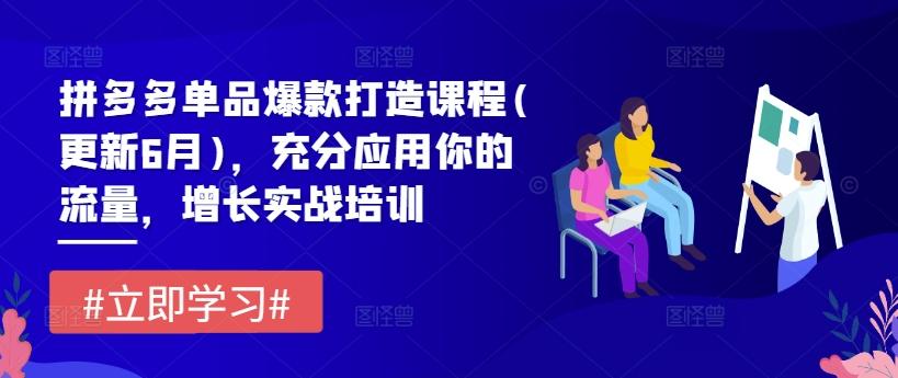 拼多多单品爆款打造课程(更新6月)，充分应用你的流量，增长实战培训-彼飞网创