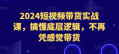 2024短视频带货实战课，搞懂底层逻辑，不再凭感觉带货-彼飞网创