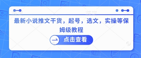 最新小说推文干货，起号，选文，实操等保姆级教程-彼飞网创
