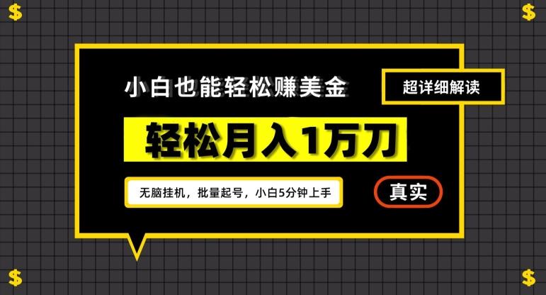 谷歌看广告撸美金2.0，无脑挂机，多号操作，月入1万刀【揭秘】-彼飞网创