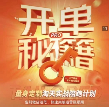 淘宝开单秘籍PRO，量身定制淘天实战陪跑计划，告别做店迷茫、快速突破运营瓶颈期(更新6月)-彼飞网创
