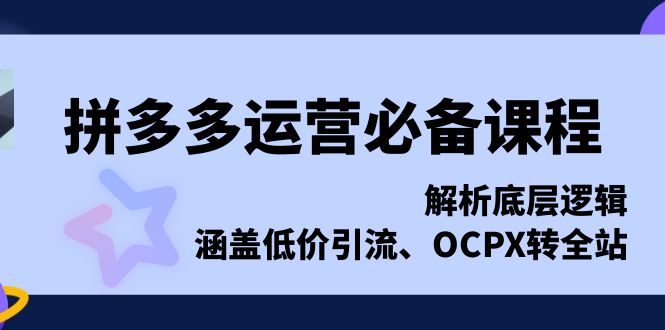 拼多多运营必备课程，解析底层逻辑，涵盖低价引流、OCPX转全站-彼飞网创