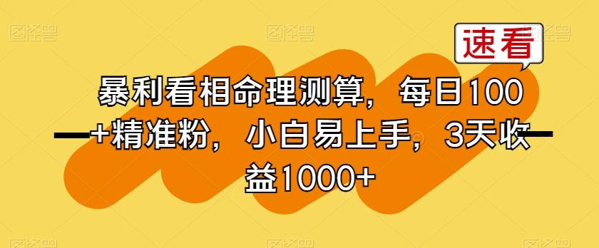 暴利看相命理测算，每日100+精准粉，小白易上手，3天收益1000+【揭秘】-彼飞网创