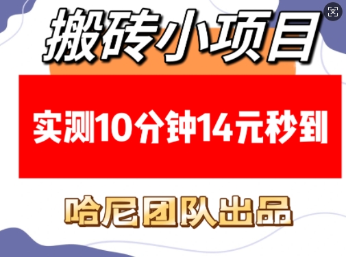 搬砖小项目，实测10分钟14元秒到，每天稳定几张(赠送必看稳定)-彼飞网创