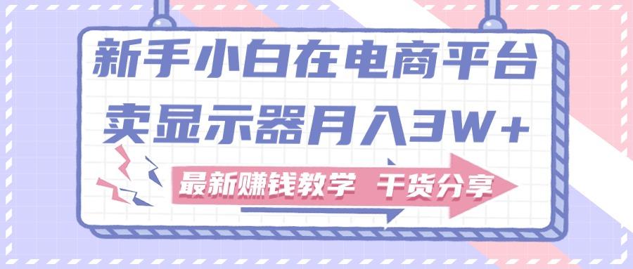 新手小白如何做到在电商平台卖显示器月入3W+，最新赚钱教学干货分享-彼飞网创