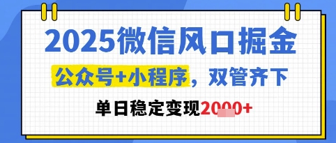 2025微信风口掘金，公众号+小程序双管齐下，单日稳定变现1k+【揭秘】-彼飞网创