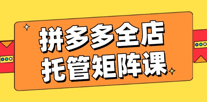 拼多多全店托管矩阵课，盈利动销玩法，高效计划设置，提升店铺效益-彼飞网创