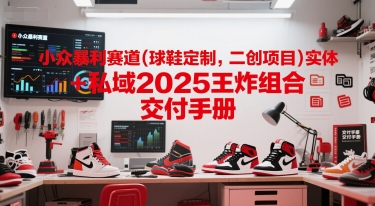 小众暴利赛道(球鞋定制，二创项目)实体+私域2025王炸组合  交付手册-彼飞网创