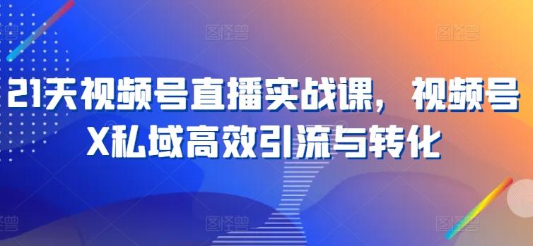 21天视频号直播实战课，视频号X私域高效引流与转化-彼飞网创