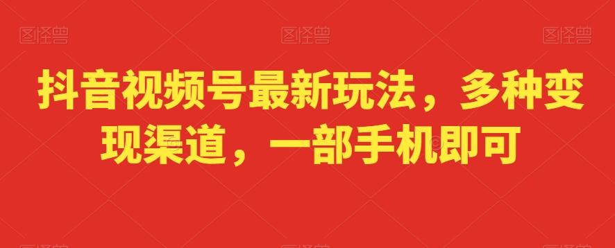 抖音视频号最新玩法，多种变现渠道，一部手机即可-彼飞网创