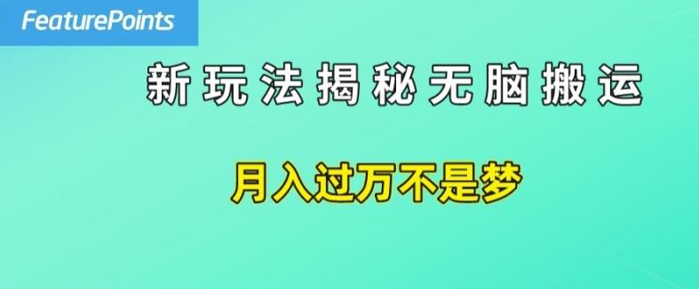 简单操作，每天50美元收入，搬运就是赚钱的秘诀【揭秘】-彼飞网创