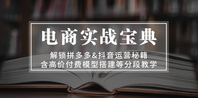 电商实战宝典 解锁拼多多&抖音运营秘籍 含高价付费模型搭建等分段教学-彼飞网创