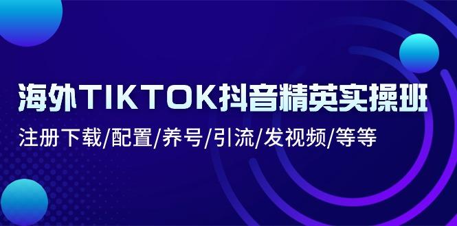 海外TIKTOK抖音精英实操班：注册下载/配置/养号/引流/发视频/等等-彼飞网创