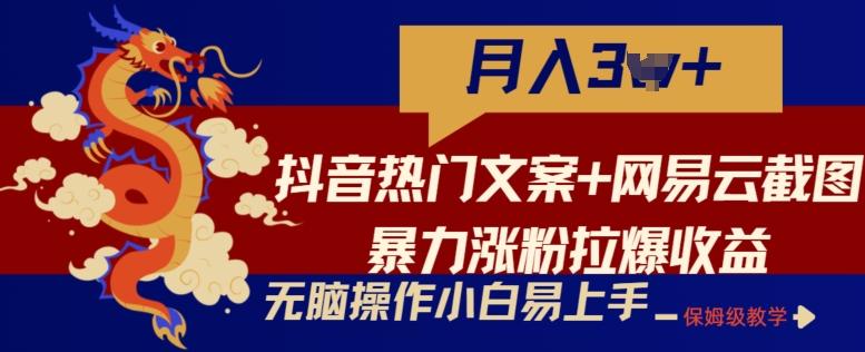 抖音热门文案+网易云截图暴力涨粉拉爆收益玩法，小白无脑操作，简单易上手【揭秘】-彼飞网创