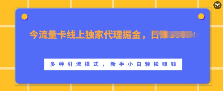 流量卡线上独家代理掘金，日入1k+ ，多种引流模式，新手小白轻松上手【揭秘】-彼飞网创