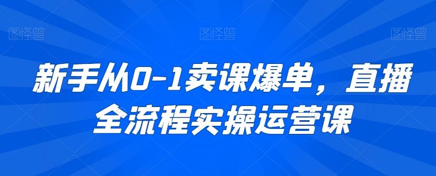 新手从0-1卖课爆单，直播全流程实操运营课-彼飞网创