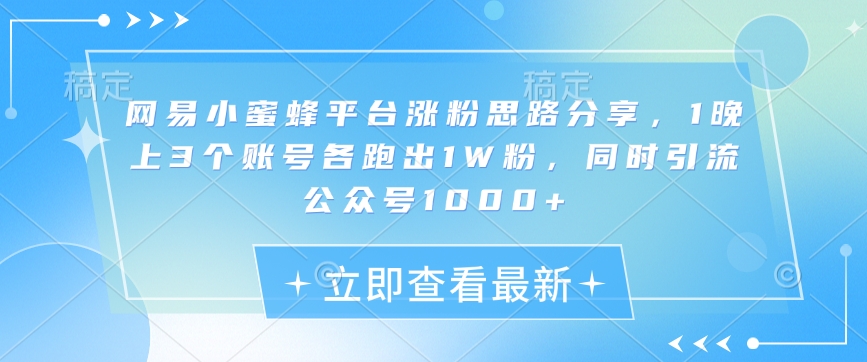 网易小蜜蜂平台涨粉思路分享，1晚上3个账号各跑出1W粉，同时引流公众号1000+-彼飞网创