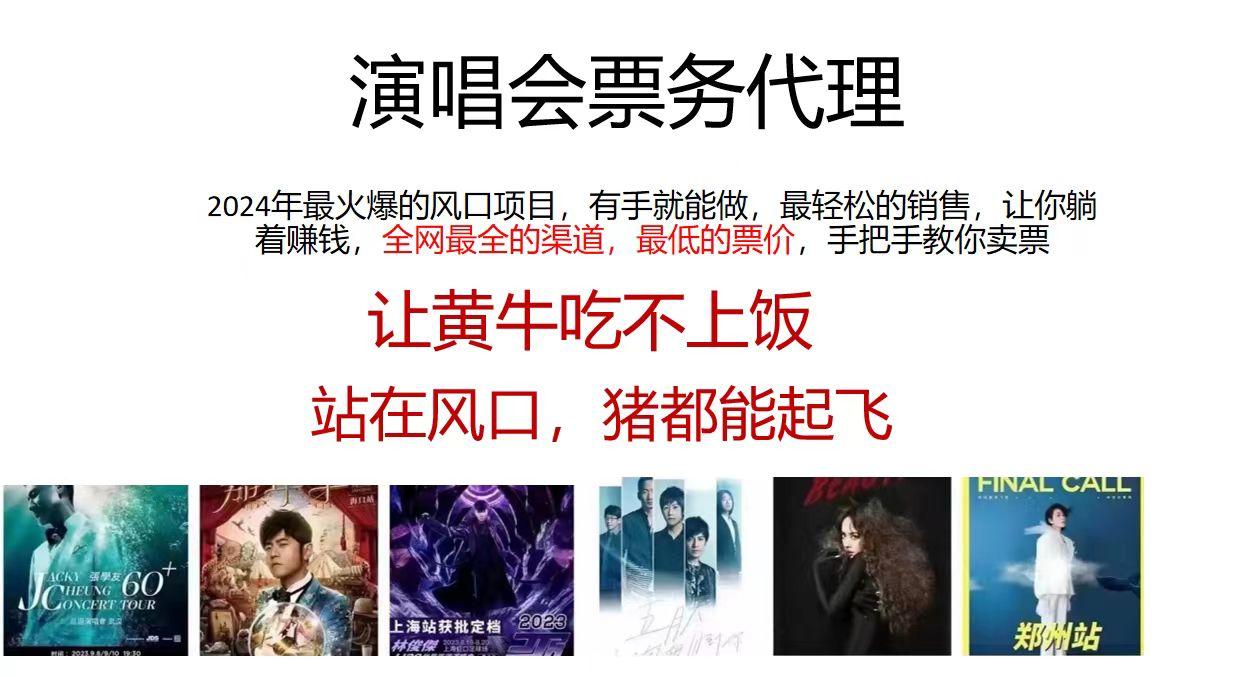 2024演唱会低价票务代理，全网最低的票价，手把手教你卖票，日入2000+-彼飞网创