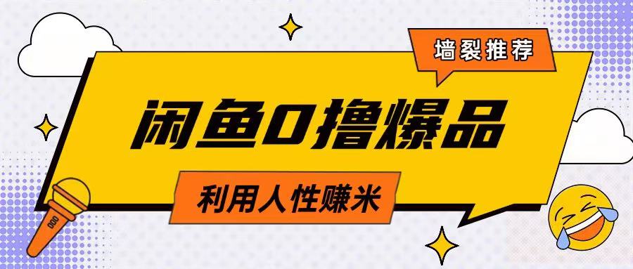 咸鱼0撸玩法利用人性售卖商品达到日挣2张的效果-彼飞网创