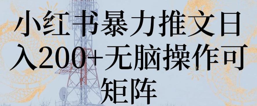 小红书暴力推文日入200+无脑操作可矩阵【揭秘】-彼飞网创