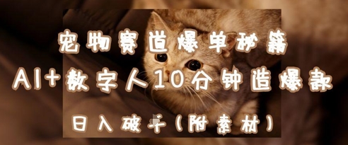 宠物赛道爆单秘籍：AI+数字人10分钟造爆款，日入1k-彼飞网创