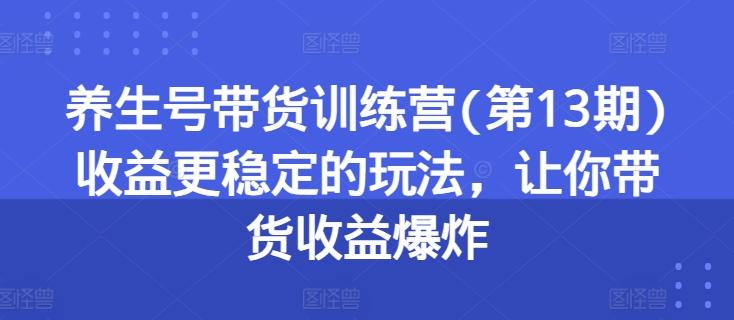 养生号带货训练营(第13期)收益更稳定的玩法，让你带货收益爆炸-彼飞网创