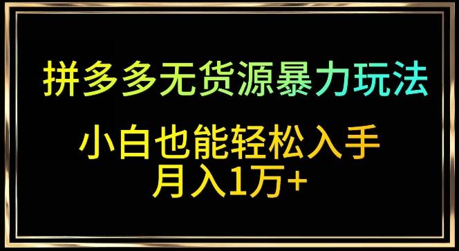 拼多多无货源暴力玩法，全程干货，小白也能轻松入手，月入1万+【揭秘】-彼飞网创