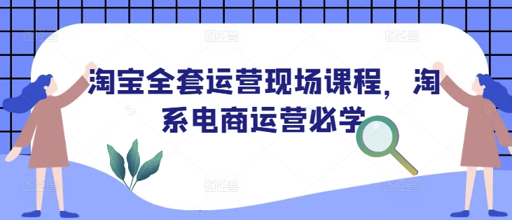 淘宝全套运营现场课程，淘系电商运营必学-彼飞网创
