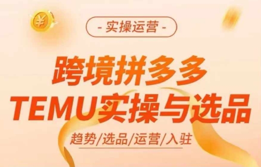跨境拼多多TEMU实操与选品，多多temu跨境选品运营实操-彼飞网创