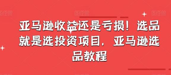 亚马逊收益还是亏损！选品就是选投资项目，亚马逊选品教程-彼飞网创