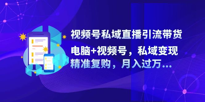 视频号私域直播引流带货：电脑+视频号，私域变现，精准复购，月入过万…-彼飞网创