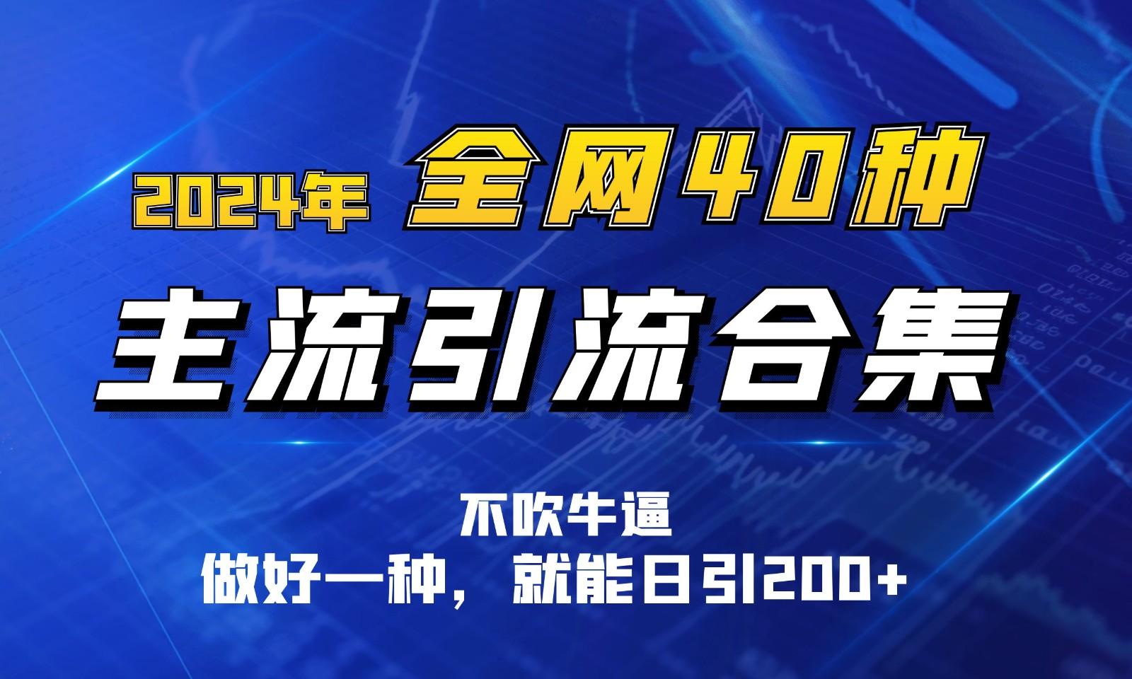 2024年全网40种暴力引流合计，做好一样就能日引100+-彼飞网创