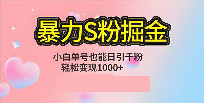 单人单机日引千粉，变现1000+，S粉流量掘金计划攻略-彼飞网创